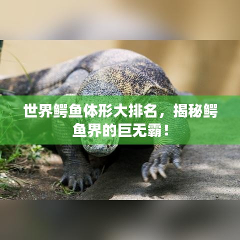世界鳄鱼体形大排名，揭秘鳄鱼界的巨无霸！