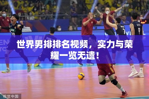 世界男排排名视频，实力与荣耀一览无遗！