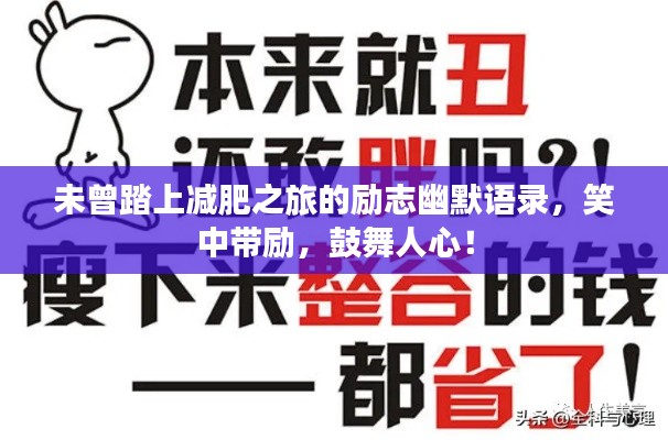 未曾踏上减肥之旅的励志幽默语录，笑中带励，鼓舞人心！