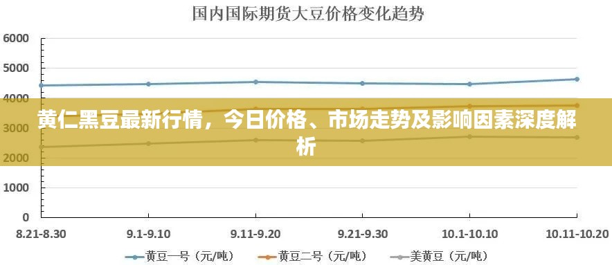 黄仁黑豆最新行情，今日价格、市场走势及影响因素深度解析