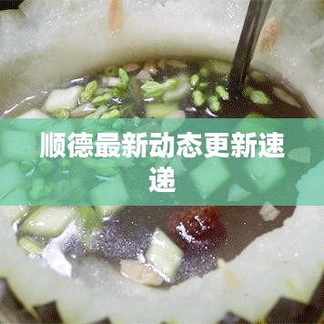 顺德最新动态更新速递