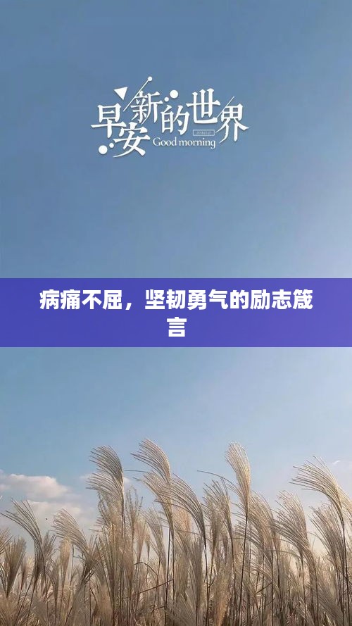 病痛不屈，坚韧勇气的励志箴言