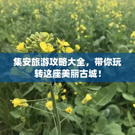 集安旅游攻略大全，带你玩转这座美丽古城！