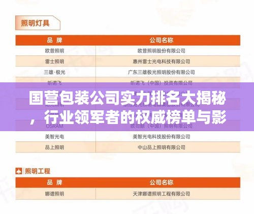 国营包装公司实力排名大揭秘，行业领军者的权威榜单与影响力解析