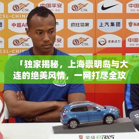 「独家揭秘，上海崇明岛与大连的绝美风情，一网打尽全攻略！」