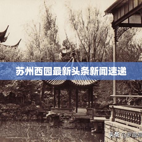 苏州西园最新头条新闻速递