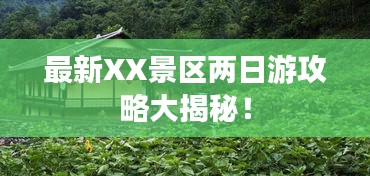 联系我们