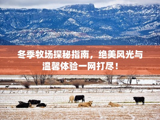 冬季牧场探秘指南，绝美风光与温馨体验一网打尽！